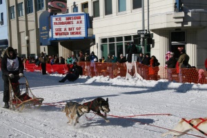 start van de Iditarod hond sledewedstrijd | Fairbanks